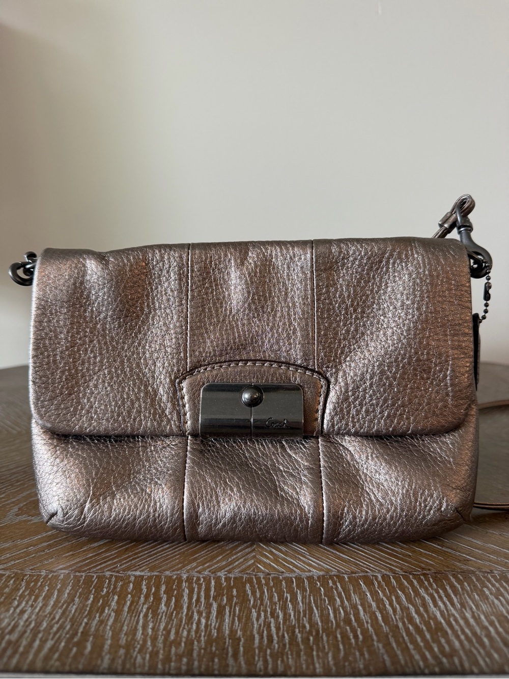 Coach Metallic Leather Crossbody Purse